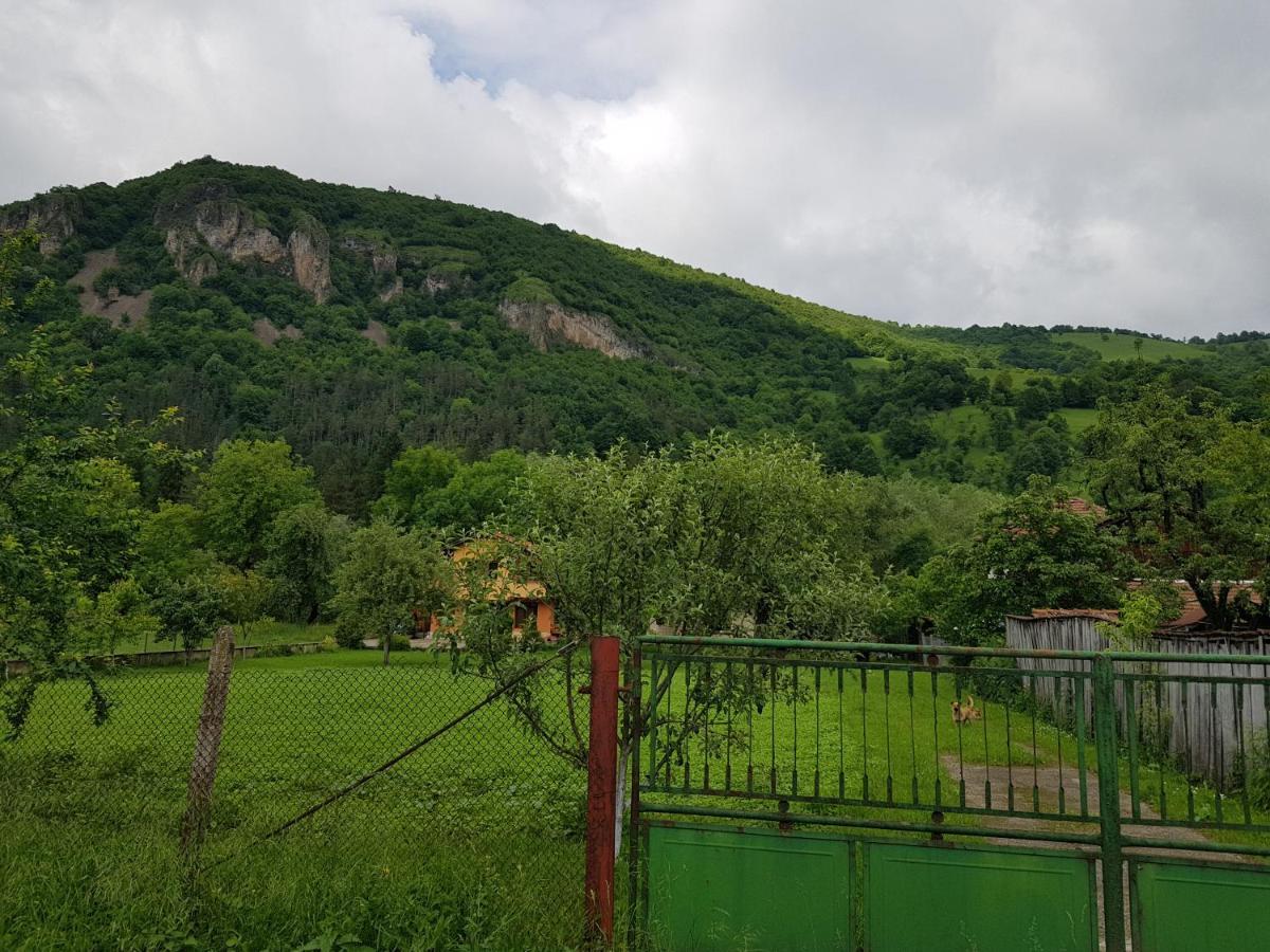 Мечтаната Селска Къща На Реката Със Семейство И Приятели! Ribarica Εξωτερικό φωτογραφία